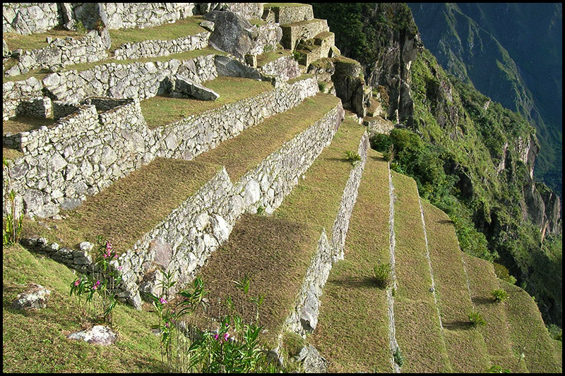 Agricultural area in Machu Picchu.